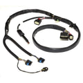 Sizeea-Doo New OEM, Wiring Harness For 2017 (And Prior) Sizepark With iBR, 278003490