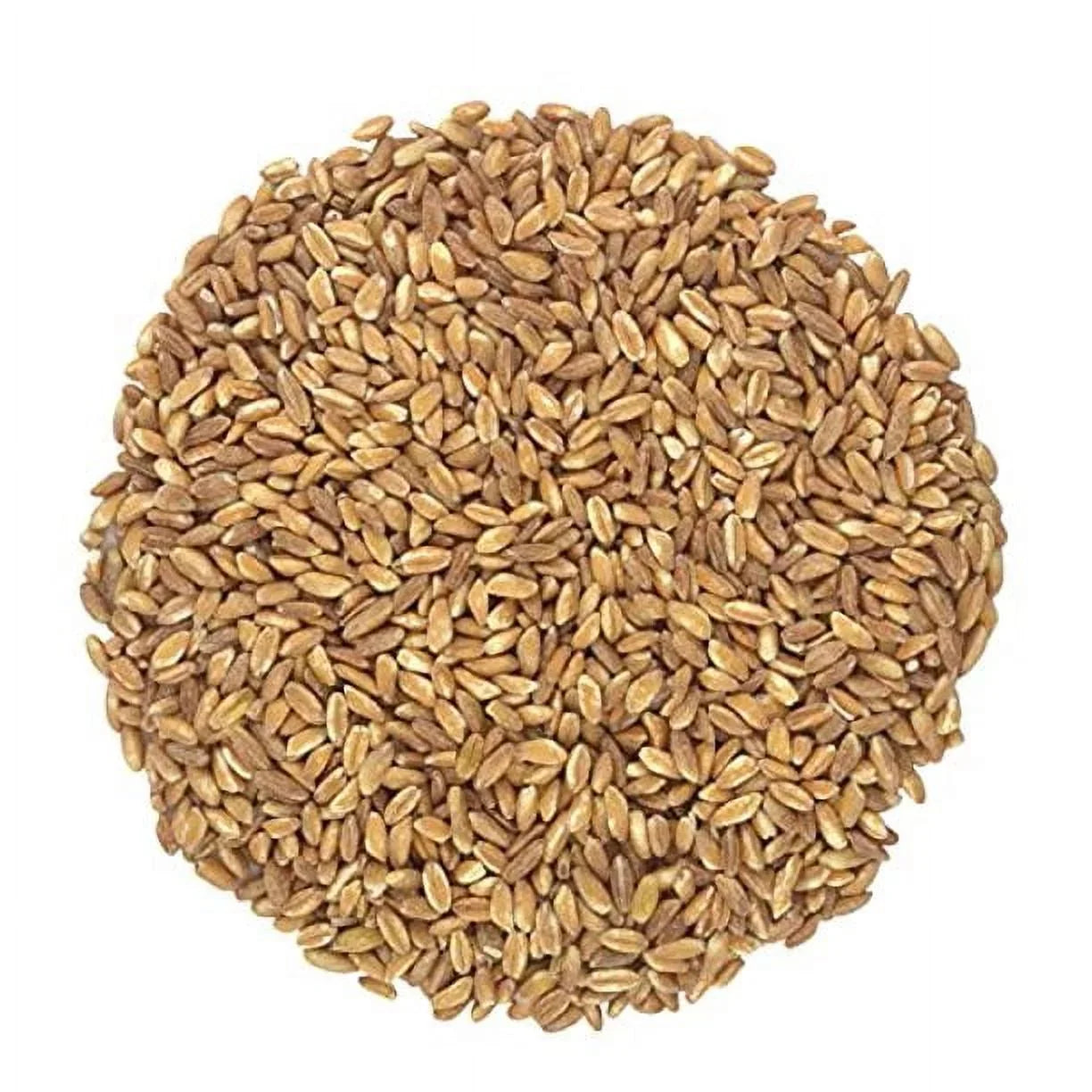 Organic Italian Pearled Farro - Raw, Non-GMO, Vegan, Bulk, Protein, Fiber Rich, Kosher (7LB)