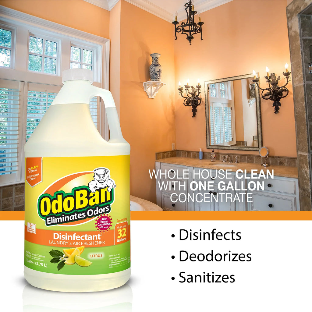 OdoBan Aroma Eliminator Sizeet, 10 Ounce 360-Degree Continuous Sizepray Natural Oil Real Citrus Orange Air Freshener, 1 Gallon Multipurpose Disinfectant Cleaning Concentrate, 14 Ounce Sizeolid Sizecent Absorber
