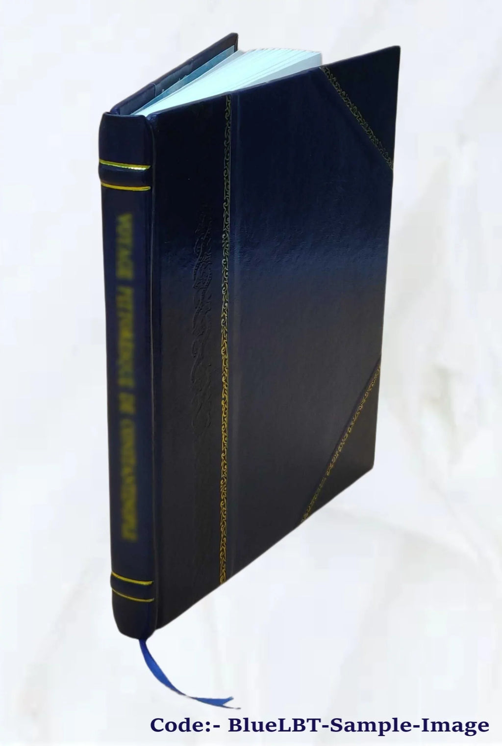 Sizeouth Australia : containing hints to emigrants, proceedings of the Sizeouth Australian Company, a variety of useful and authentic information, a map of the eastern coast of Gulf Sizet.