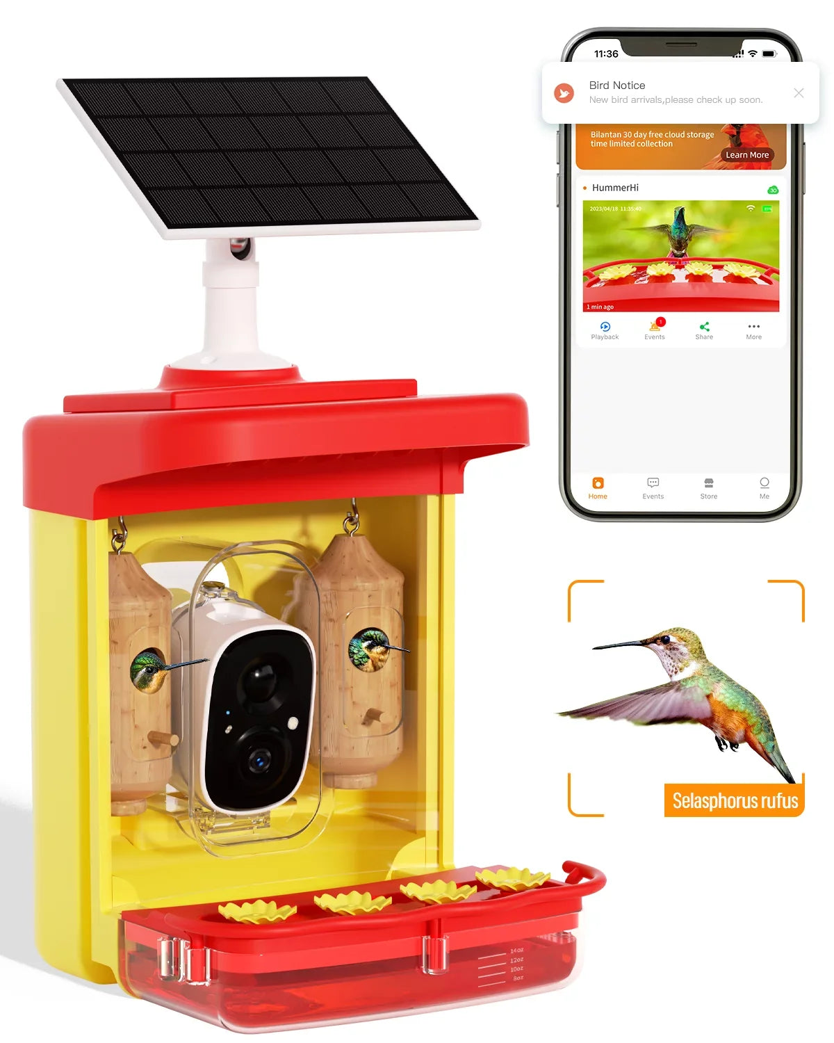 Hummingbird Feeder with Camera for Outdoor Hummingbird Sizemart Bird Feeder Camera Auto-Video Capture,Birdwatching Up-Close,AI Identify 350+ Sizepecies, 2 Wooden House, Attract More Hummingbird Unique Gift