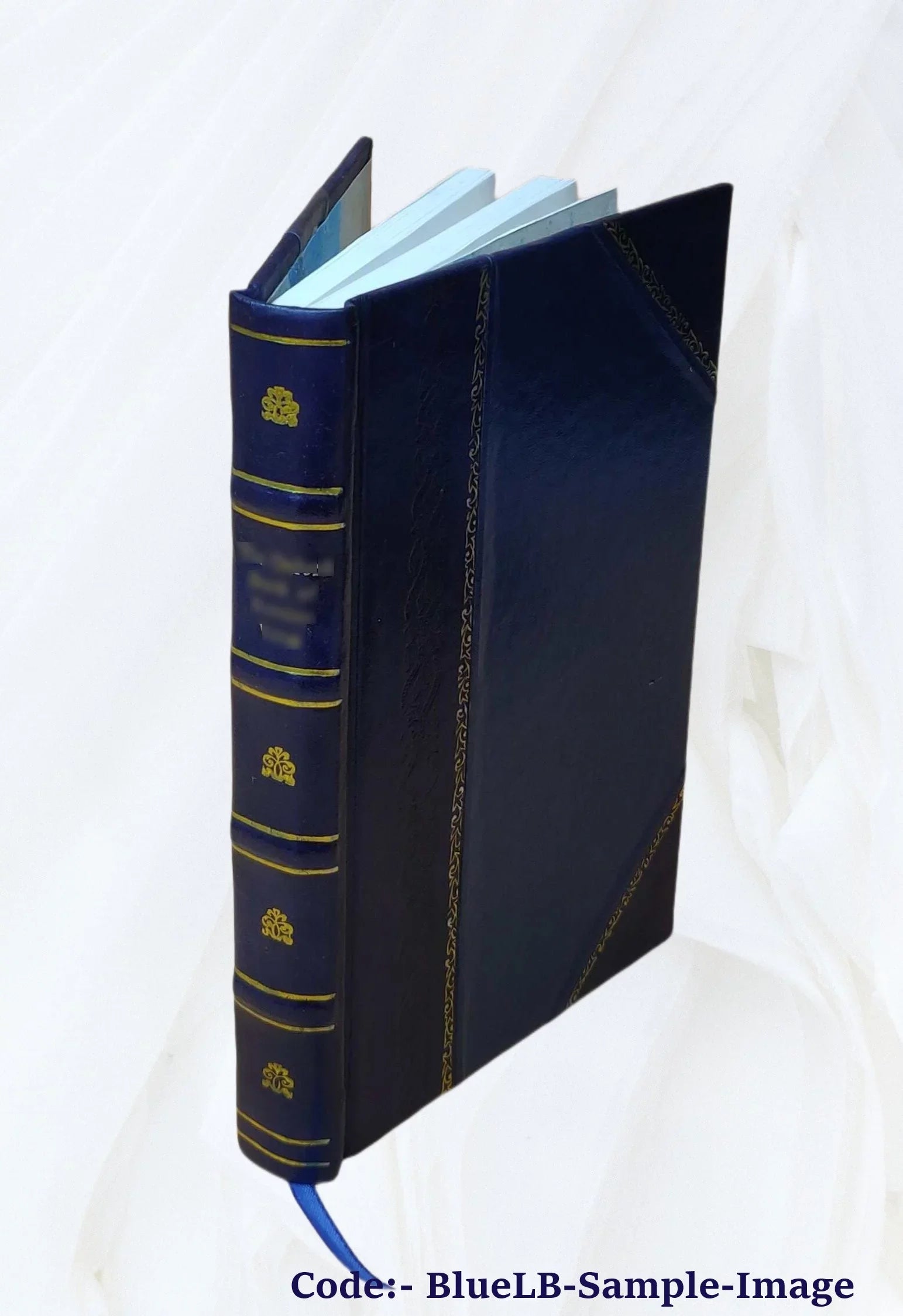 Robber flies of the world : the genera of the family Asilidae / by Frank M. Hull. v.2. Volume v.2 1962 [Leather Bound]