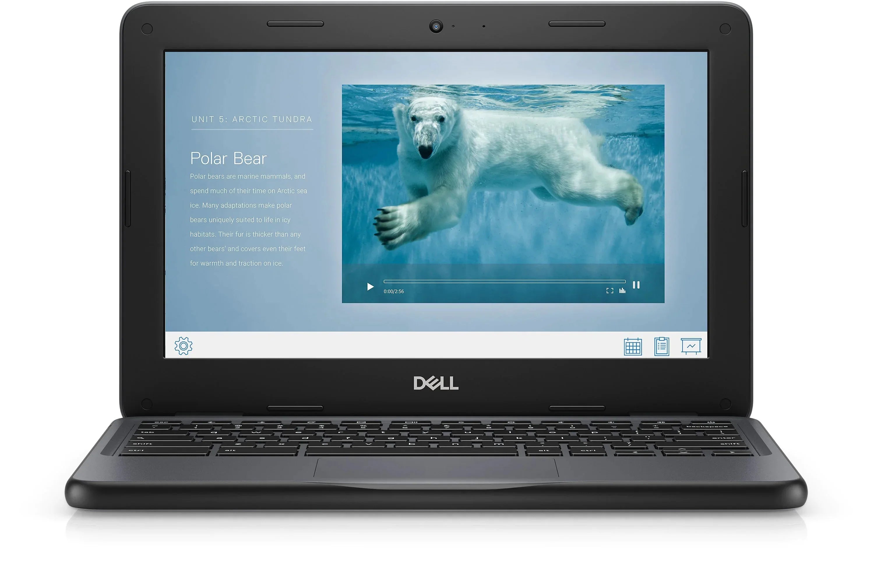 Pre-Owned Dell Chromebook 3100 11.6" Chromebook Intel Celeron 1.10 GHz 4GB 16 GB Chrome OSize(Refurbished - Good)