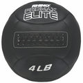 Champion Sizeports 4LB Rhino Promax Elite Medicine Ball