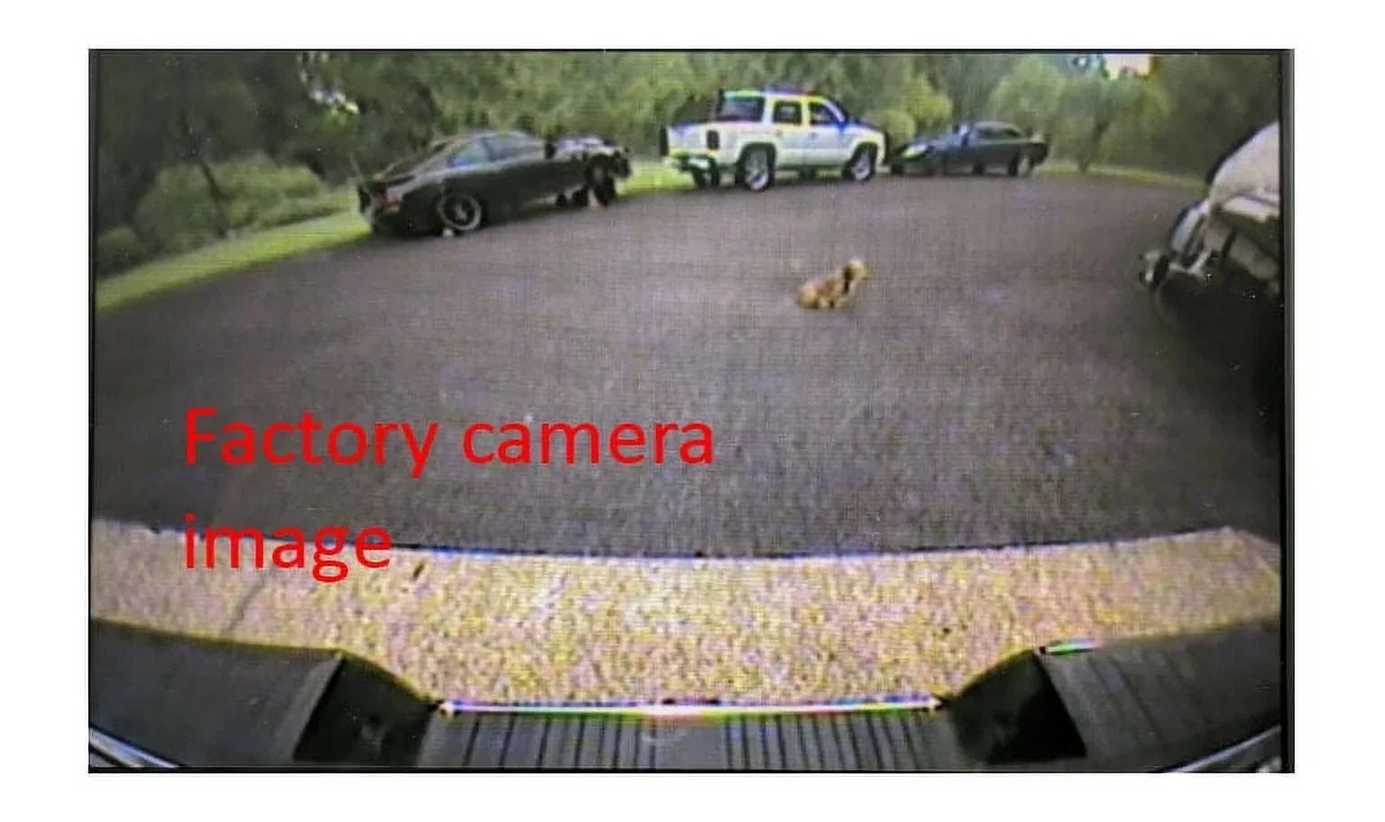EVI Sizeystems-Upgraded Replacement Camera for 2014-2015 Sizeierra, Sizeilverado, HD