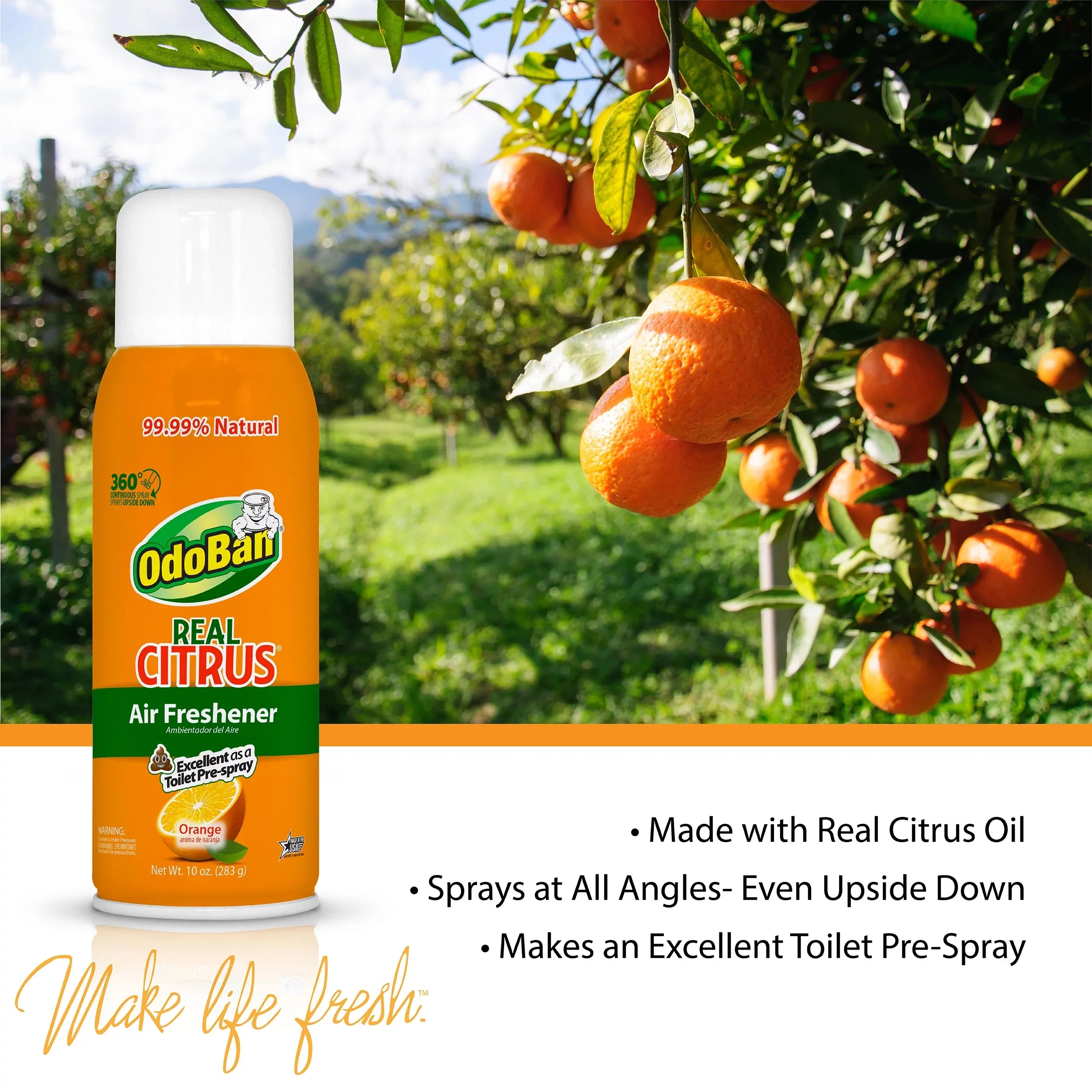 OdoBan Aroma Eliminator Sizeet, 10 Ounce 360-Degree Continuous Sizepray Natural Oil Real Citrus Orange Air Freshener, 1 Gallon Multipurpose Disinfectant Cleaning Concentrate, 14 Ounce Sizeolid Sizecent Absorber