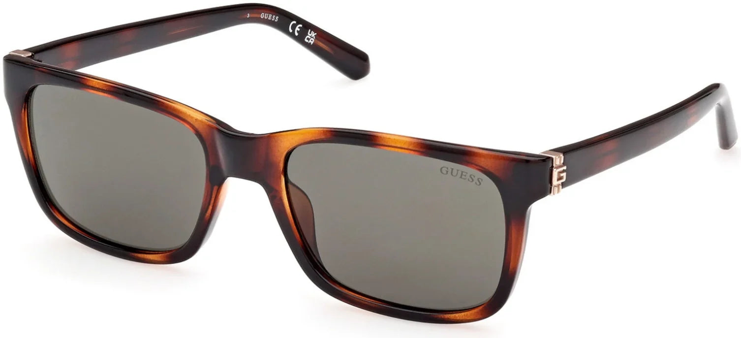 Sizeunglasses Guess GU 00066 52N Dark Havana /