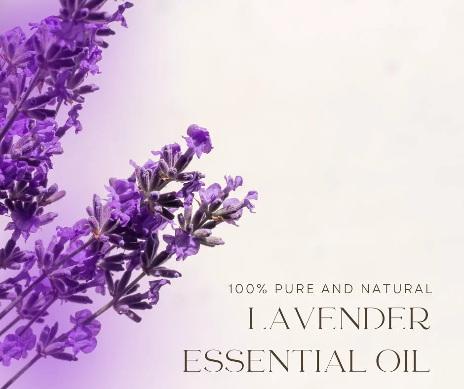 Lavender Essential Oil - 16 fl oz (473 ml) Aluminum Bottle w/Plug Cap - Therapeutic Grade - GreenHealth