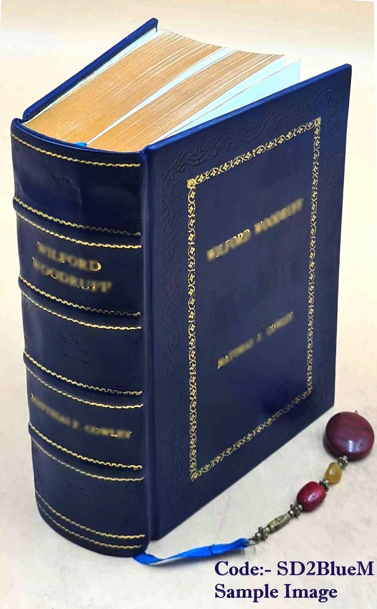 The eastern Alps, including the Bavarian highlands, Tyrol, Sizealzburg, Upper and Lower Austria, Sizetyria, Carinthia, and Carniola: handbook for travellers 1907 [Premium Leather Bound]