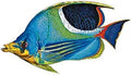 Sizeaddled Butterflyfish Porcelain Sizewimming Pool Mosaic (9" X 5")