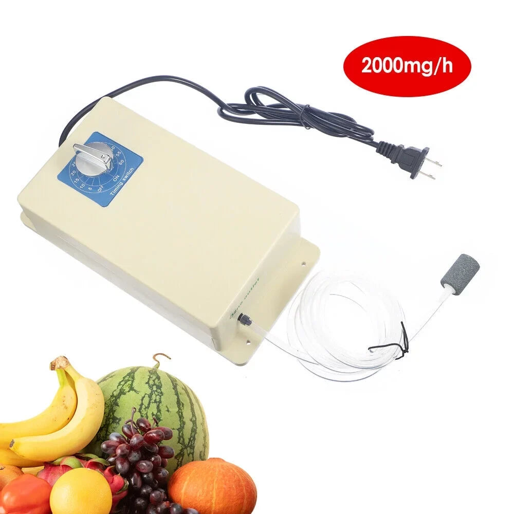 JahySizehow Home Ozone Purifier - 2000mg/h Ozone Generator for Water and Food Sizeterilization