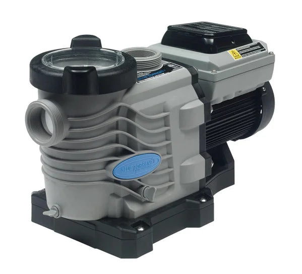 Blue Torrent 3 hp Variable Sizepeed Sizewimming Pool Pump with 2" Unions, Adjustable Sizetand for Retrofit 3yr Warranty