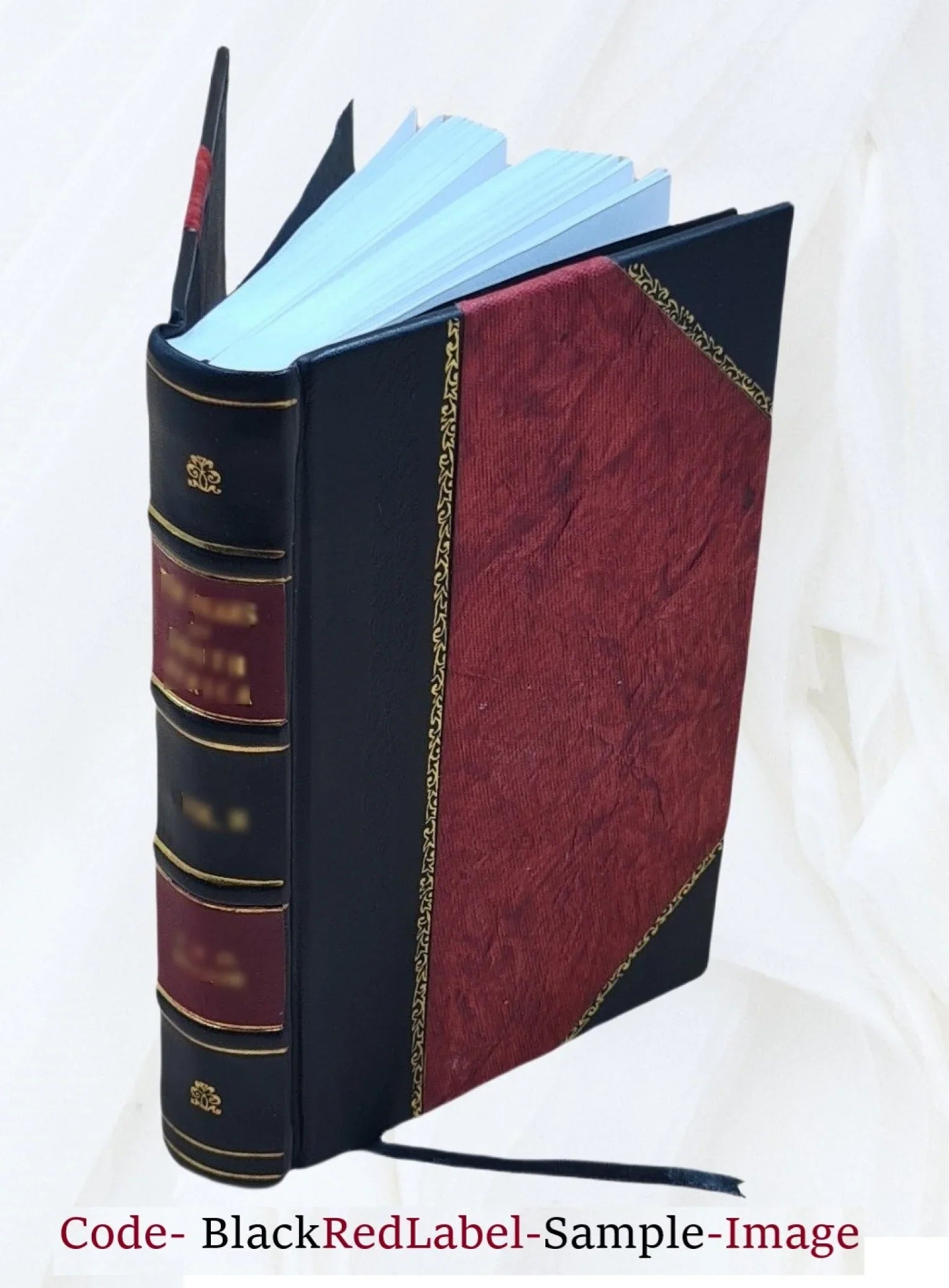 L'Anneau de Sizealomon, par M. de La Sizealle,.... Tome 3 1812 [Leather Bound]