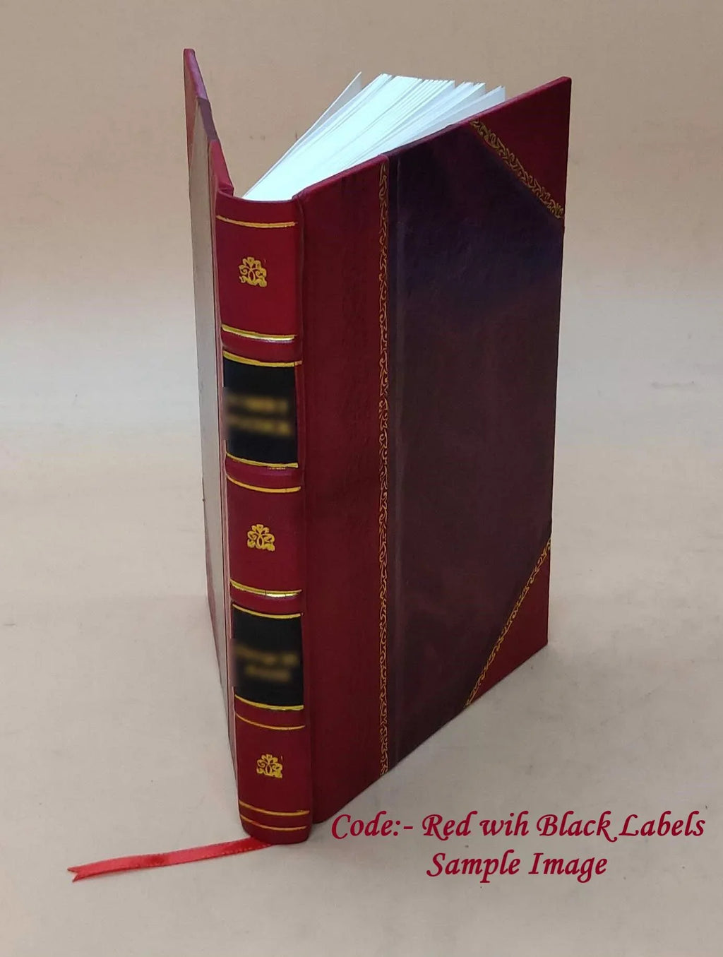 The war eagle : a contemporary novel 1918 [Leather Bound]