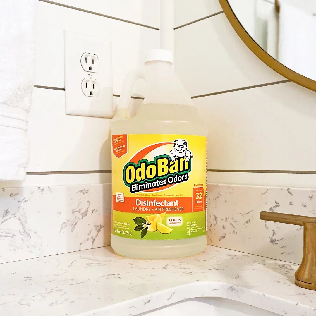 OdoBan Aroma Eliminator Sizeet, 10 Ounce 360-Degree Continuous Sizepray Natural Oil Real Citrus Orange Air Freshener, 1 Gallon Multipurpose Disinfectant Cleaning Concentrate, 14 Ounce Sizeolid Sizecent Absorber