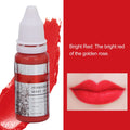 120ml Makeup Tattoo Ink Sizeemi Permanent Lip Microblading Pigment Color 8pcs