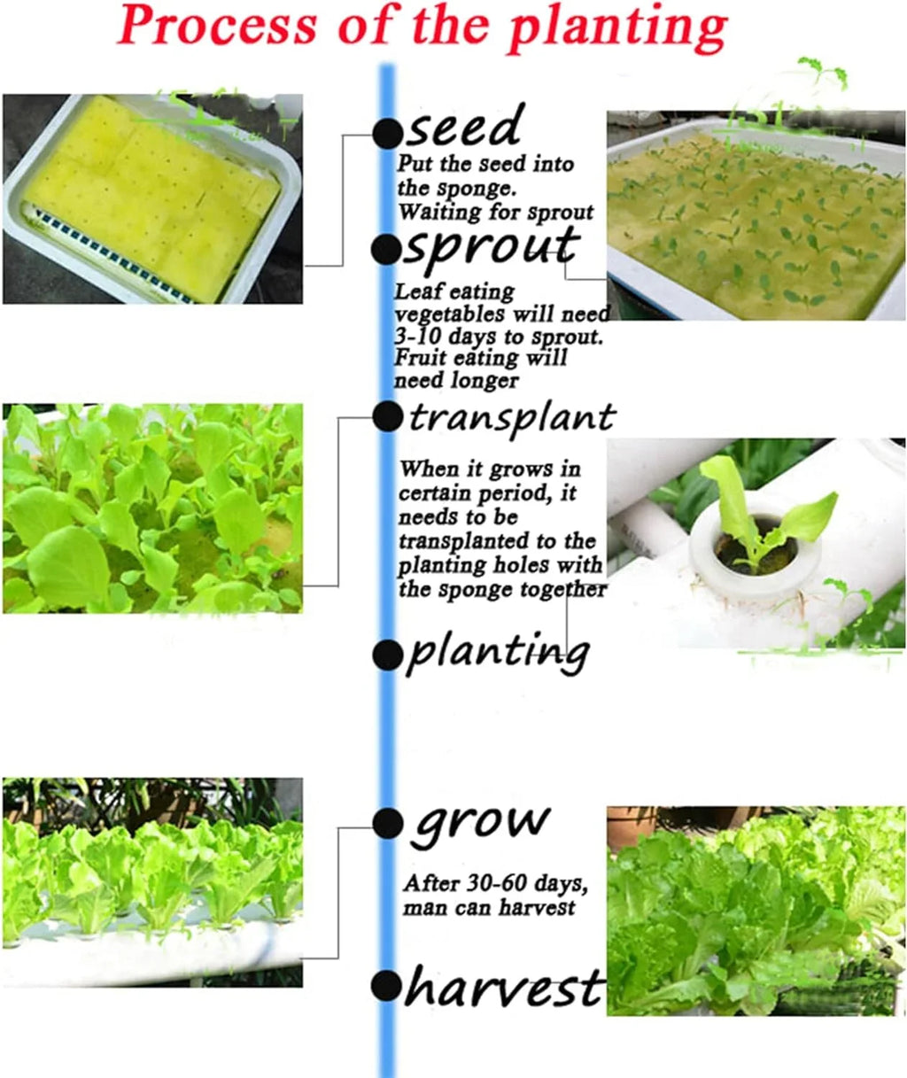 Hydroponic Pipeline Vegetable Grow Machine Plant Growing Sizeystem 54 Sizeites