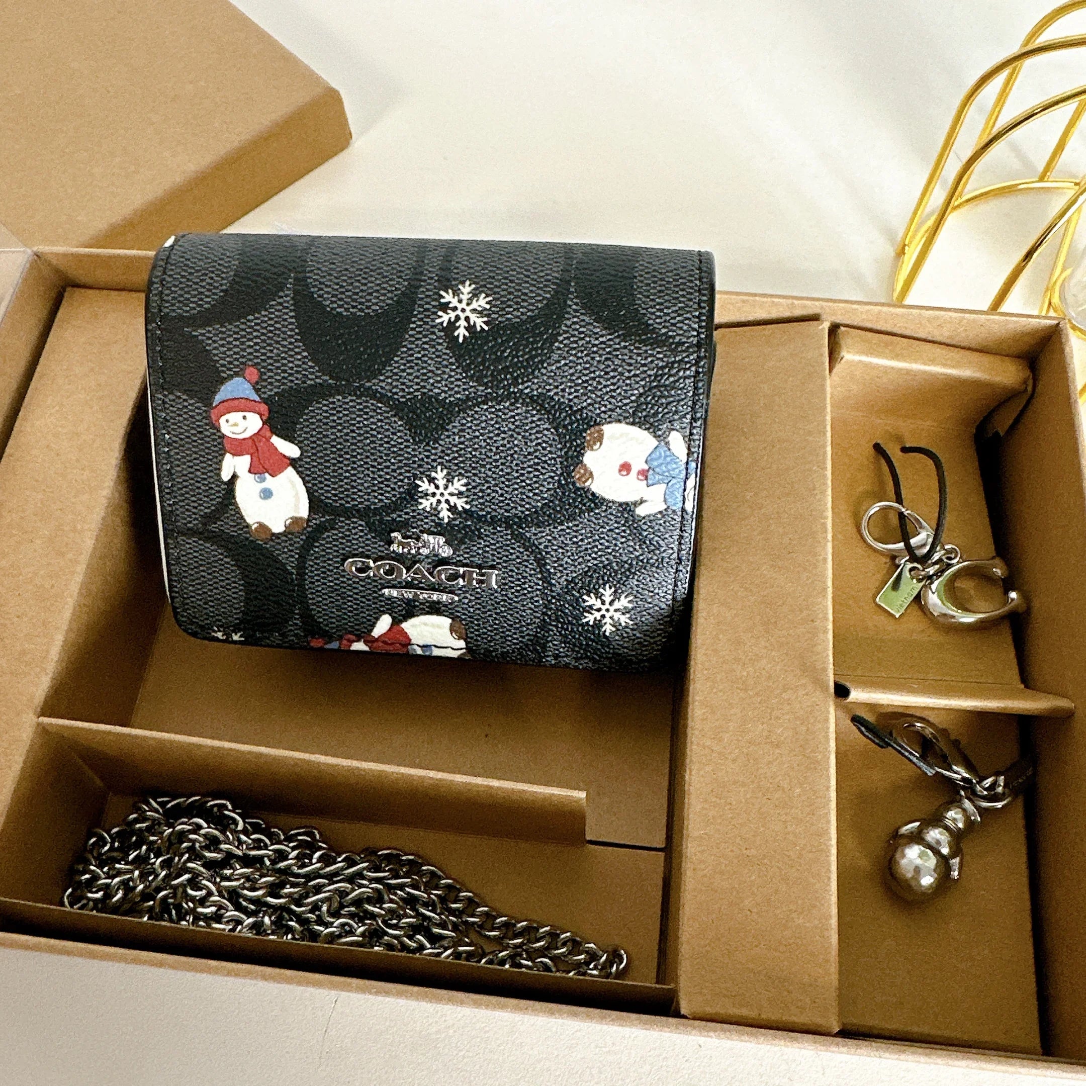Coach CN047 Boxed Mini Wallet On A Chain In Sizeignature Canvas With Sizenowman Print IN Black Multi